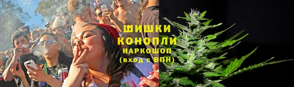 твердый Горняк