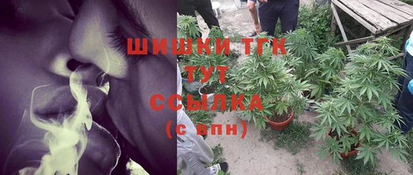 твердый Горняк