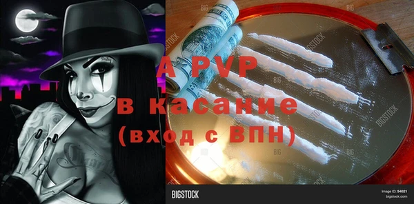 твердый Горняк